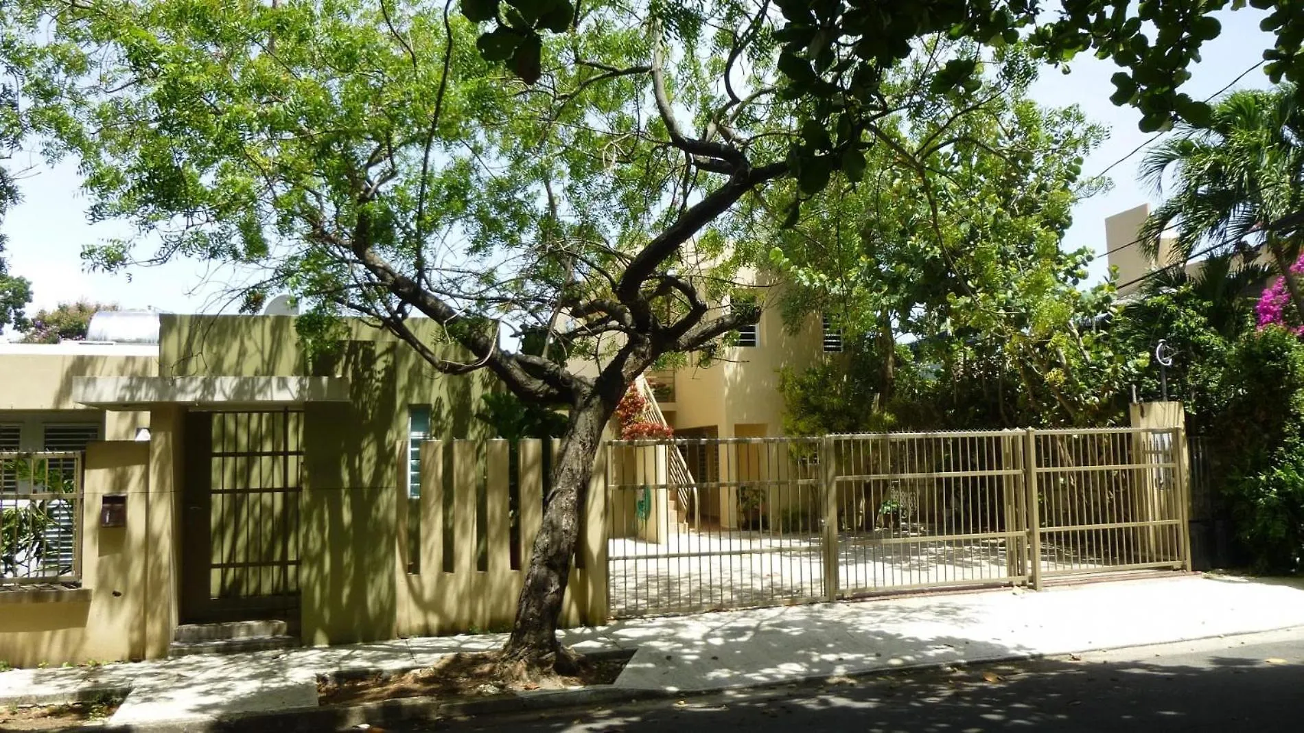 Serena Alta San Juan
